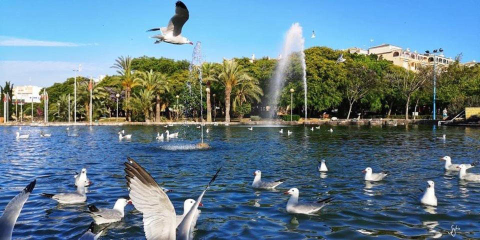 Апартаменти Torrevieja Experience Atico 1ª Linea Екстер'єр фото
